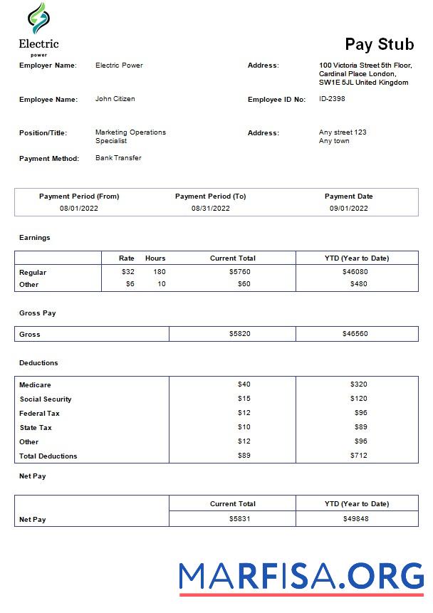 Printable Electric power pay stub download for verification
